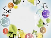 Vì sao cần bổ sung khoáng vào thức ăn tôm cá?