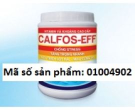 CALFOS – EFF