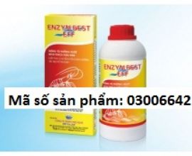 ENZYM BEST (NEW) – EFF