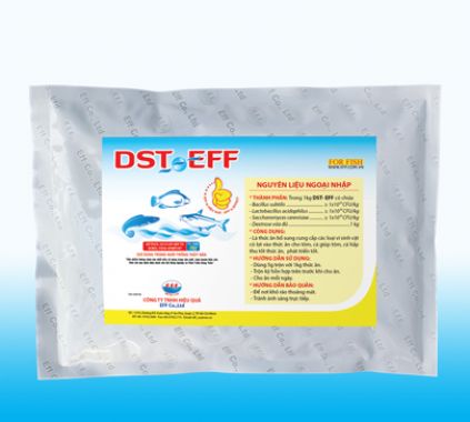 DST - EFF