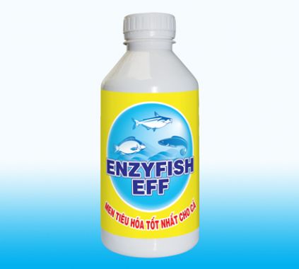 ENZYFISH - EFF