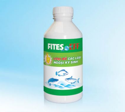 FITES - EFF
