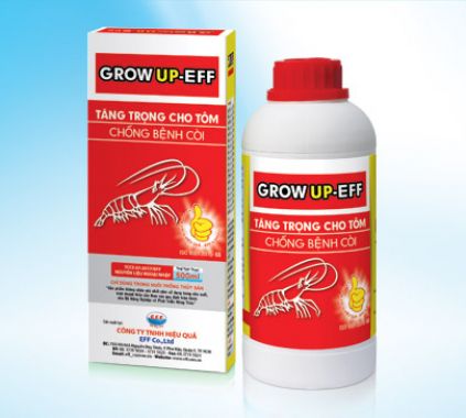 GROW UP-EFF 