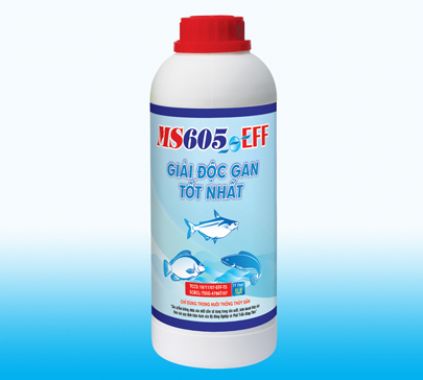 MS 605 - EFF
