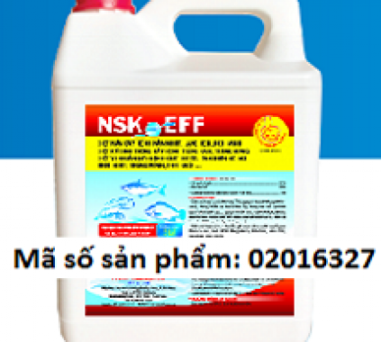 NSK-EFF