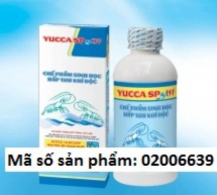 YUCCA SP - EFF HỘP 500ML